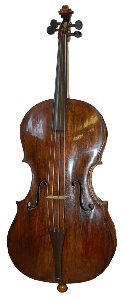 Bass violin Caudle